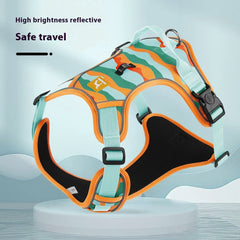 Collection image for: Pet Running Gear Accessories