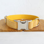 Collar / XS