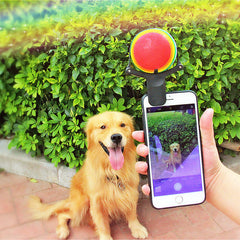 Collection image for: Pet Entertainment Toys