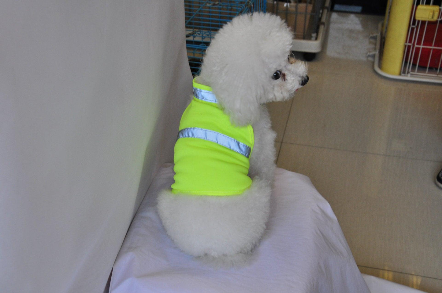 Reflective Dog Safety Vest: Increase Pet Visibility.
