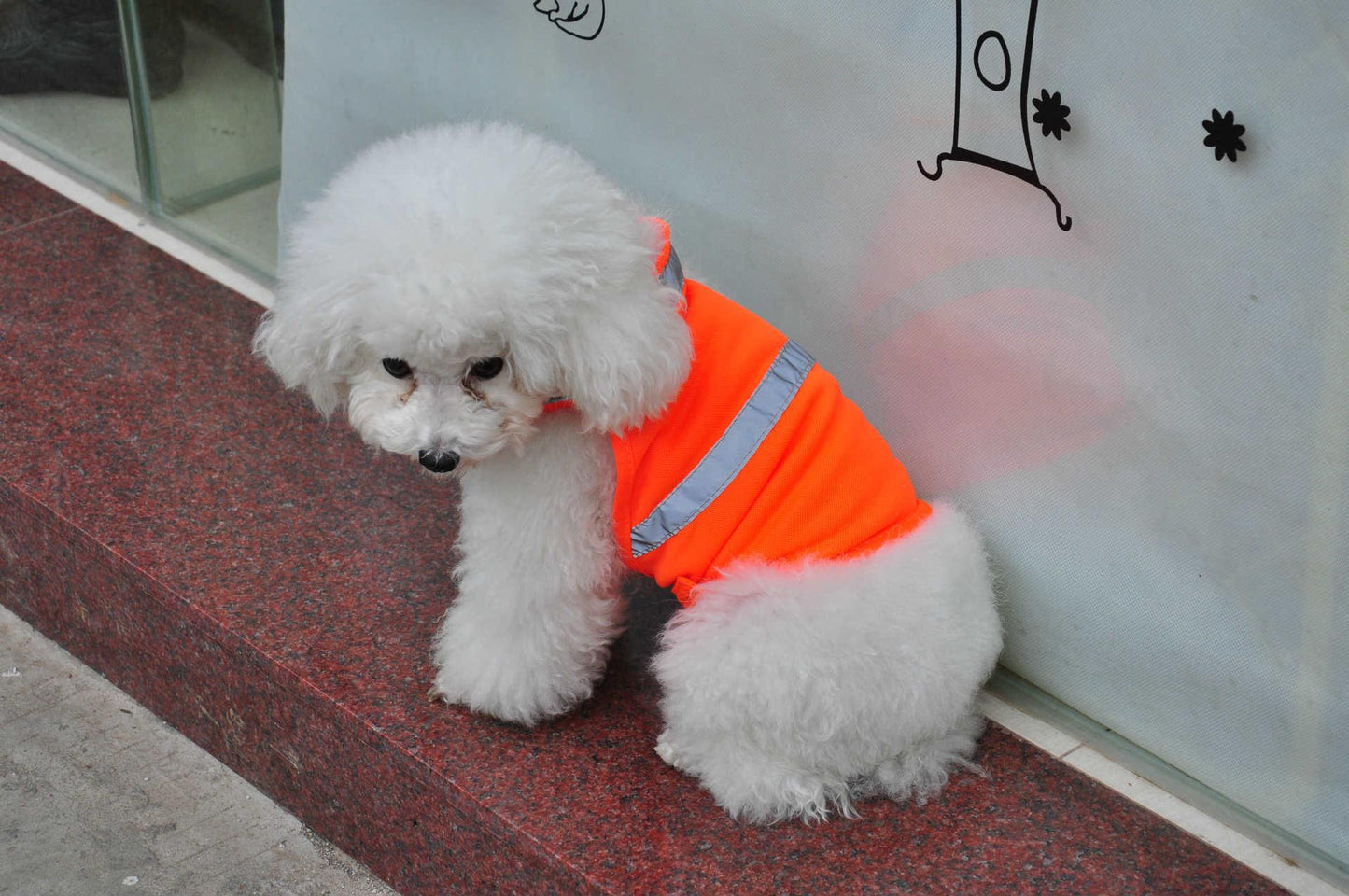 Reflective Dog Safety Vest: Increase Pet Visibility.