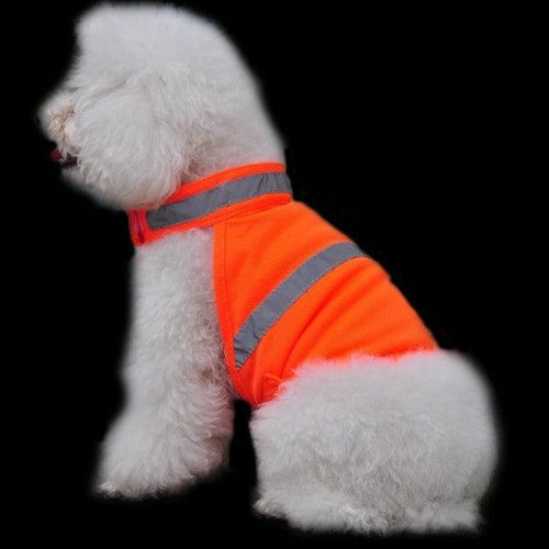 Reflective Dog Safety Vest: Increase Pet Visibility.