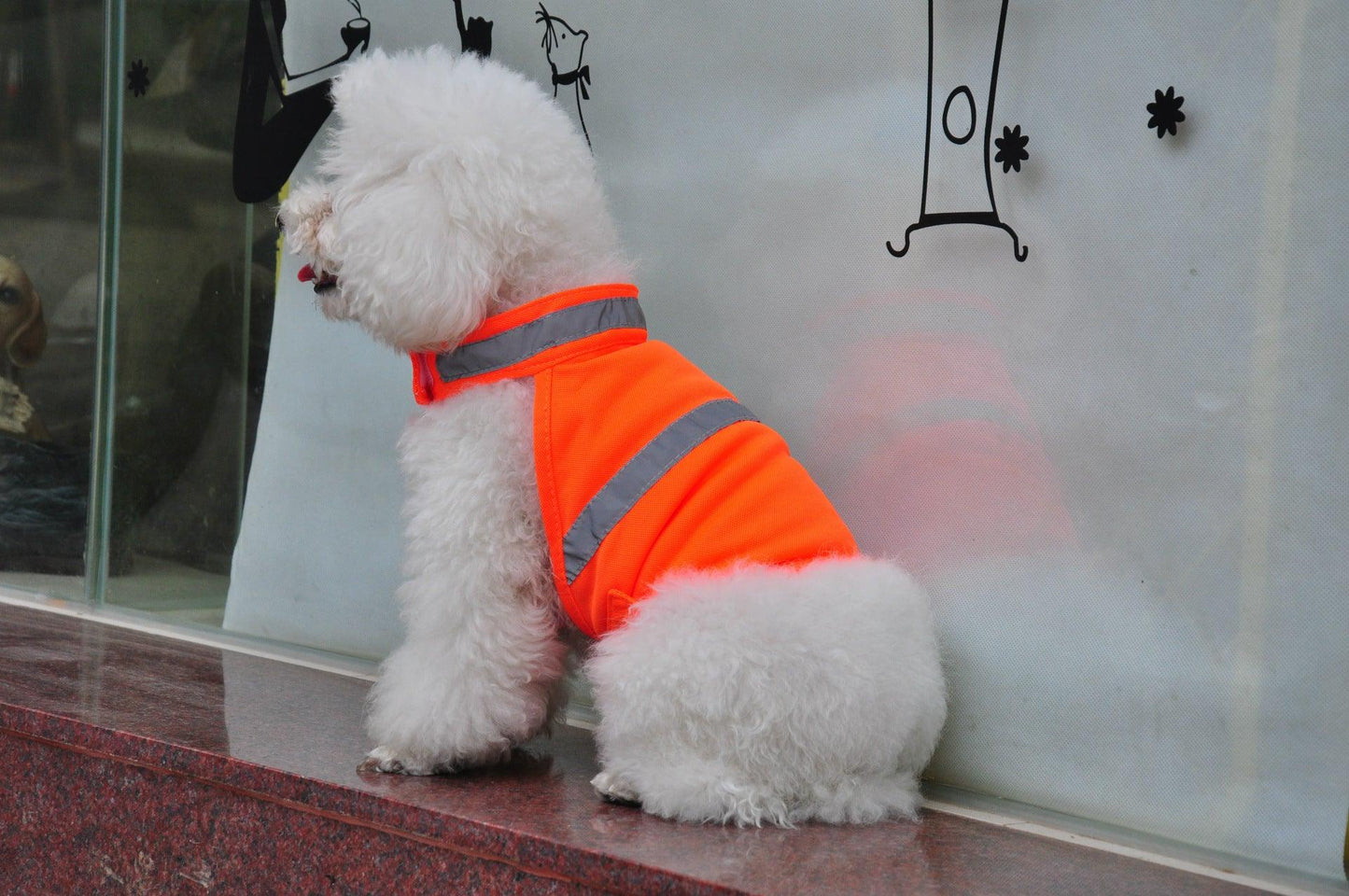 Reflective Dog Safety Vest: Increase Pet Visibility.