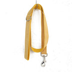 Leash / XS