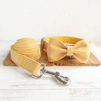 Yellow / S