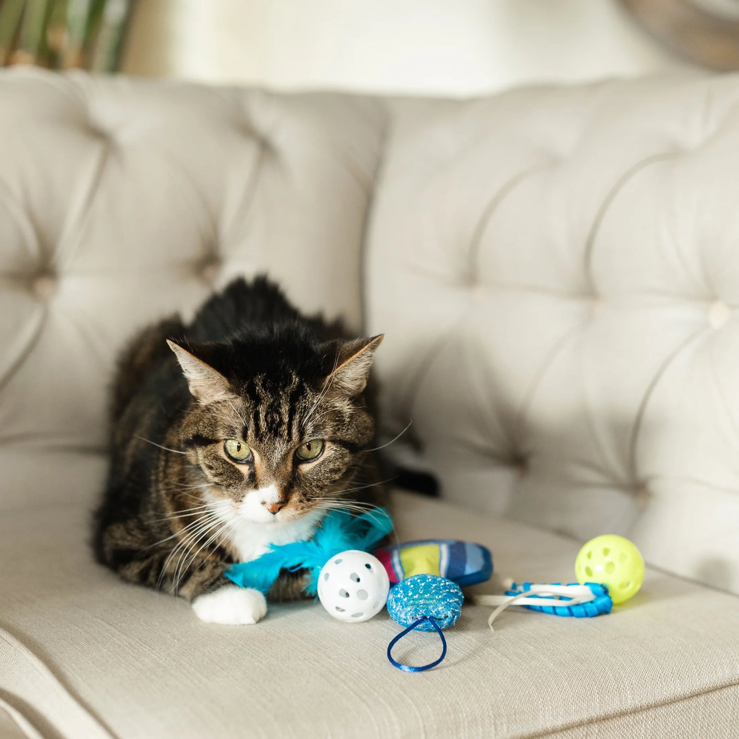 Pickleball Cat Toys with Catnip, 3 Pack