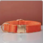 Orange / XS
