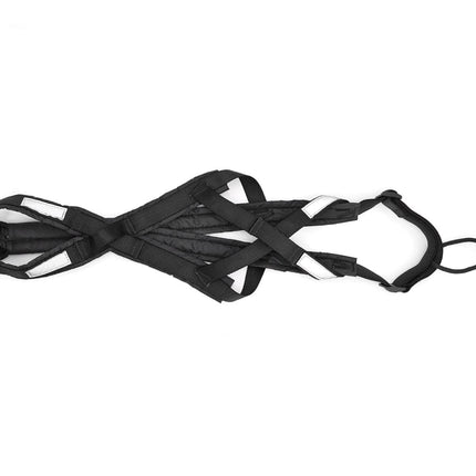 Dog Running Harness
