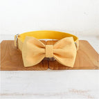 Bow plus Collar / L