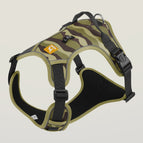 Army Green / S