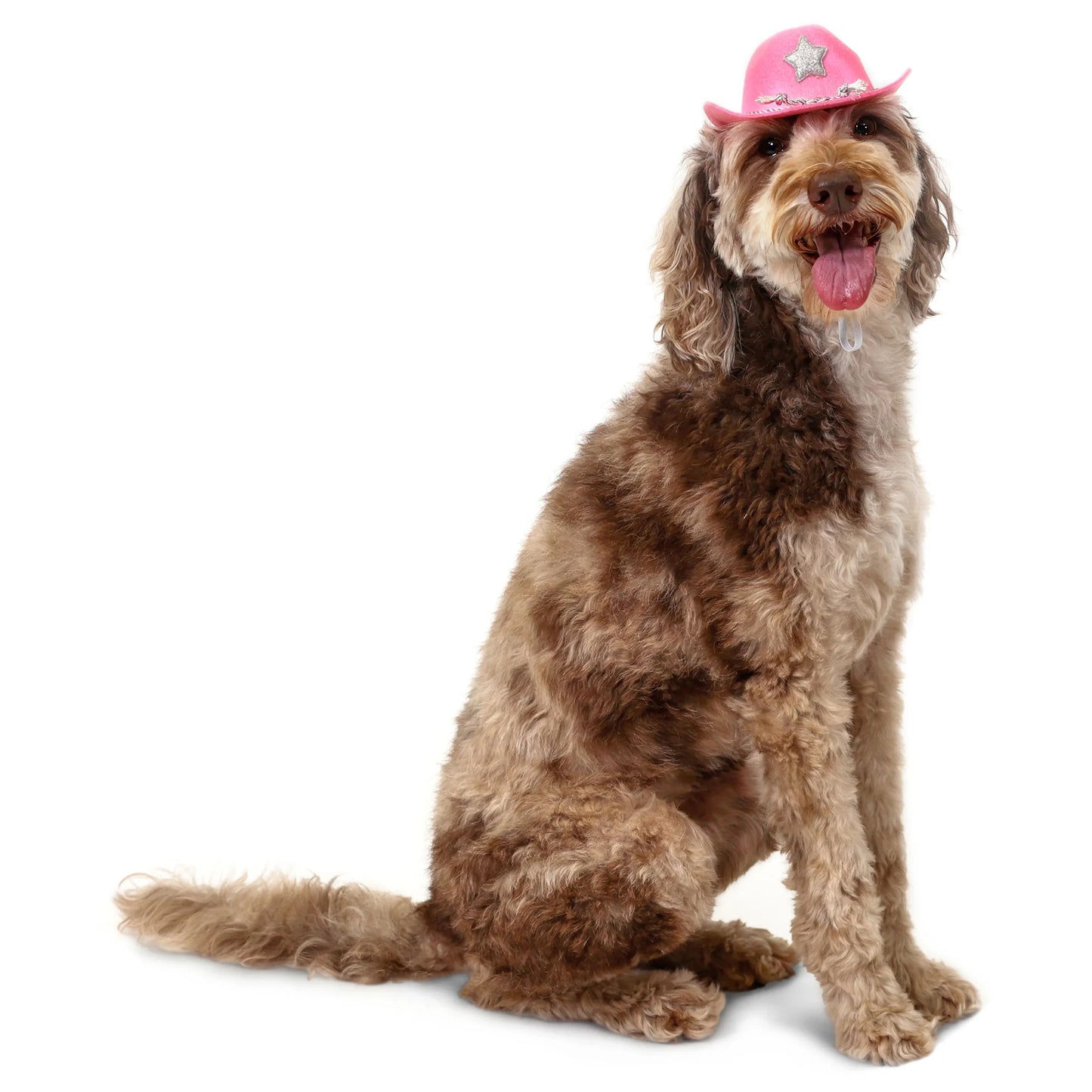 Halloween Cowboy Hat Costume for Dogs & Cats, Pink, Extra Small/Small