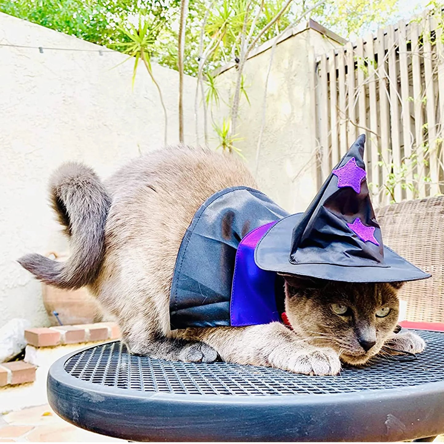 Halloween Pet Costumes, Cat Wizard Costume, Dog Witch Cloak & Hat, Purple Witch Cloak for Cats, Dogs, Kittens, Puppies, Rabbits, Perfect for Halloween, Parties, Cosplay, and Daily Wear