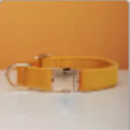 Yellow / XS