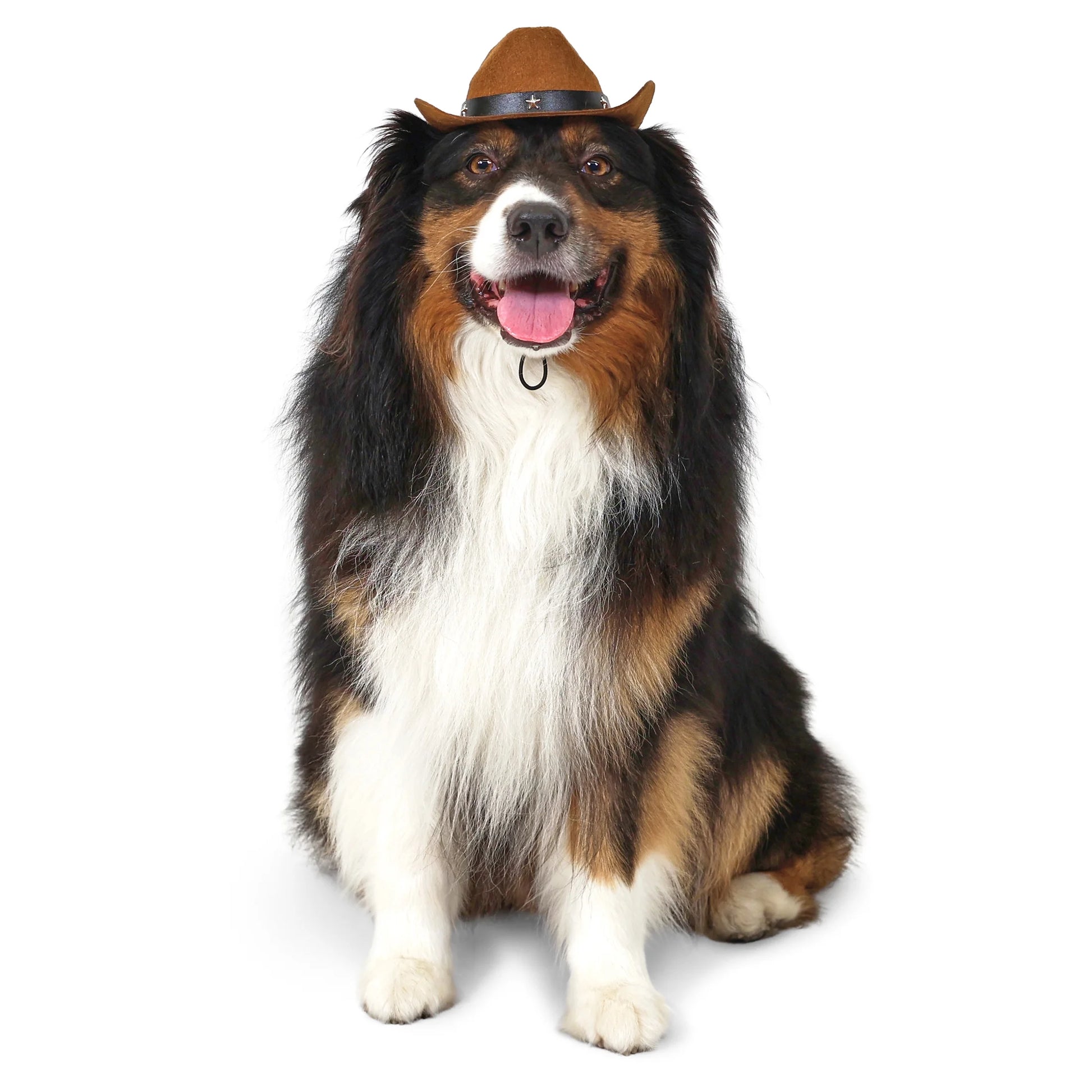 Halloween Cowboy Hat Costume for Dogs, Brown, Medium/Large