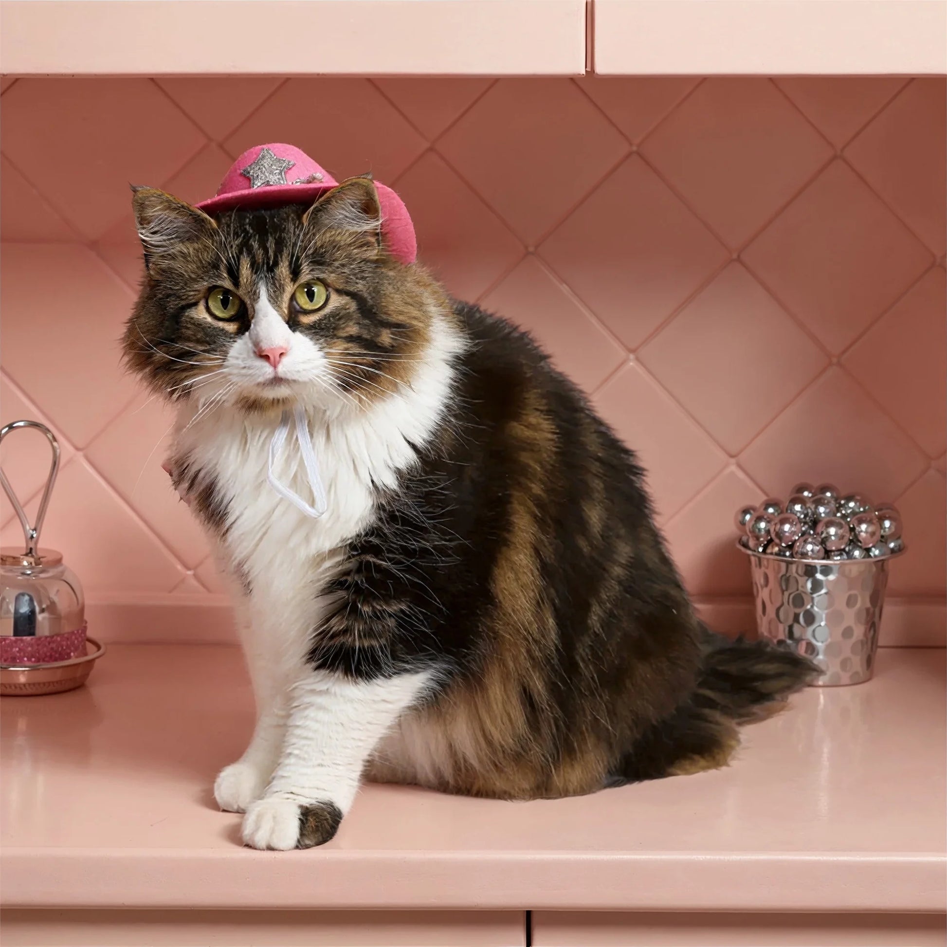 Halloween Cowboy Hat Costume for Dogs & Cats, Pink, Extra Small/Small