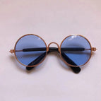 Gold blue / L