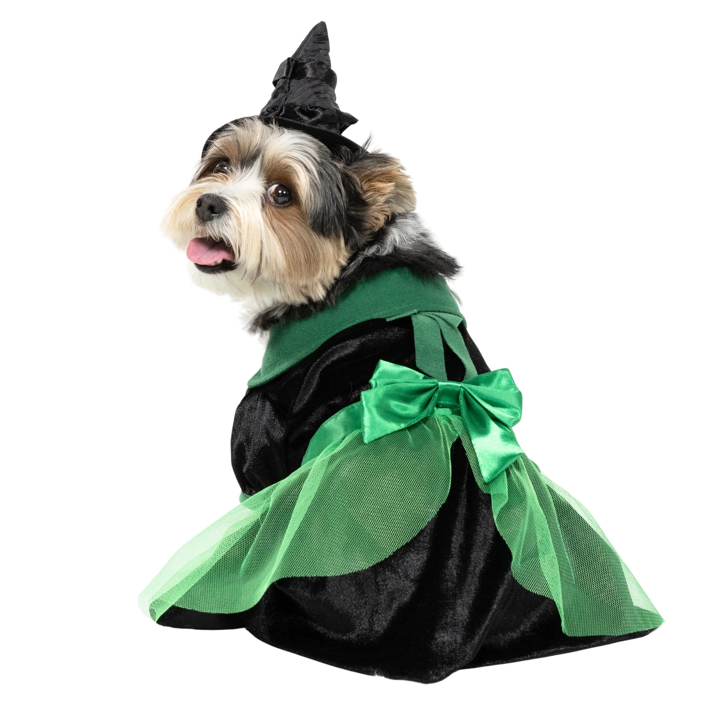 Halloween Bad Witch Costume for Dogs and Cats, Green and Black, Small