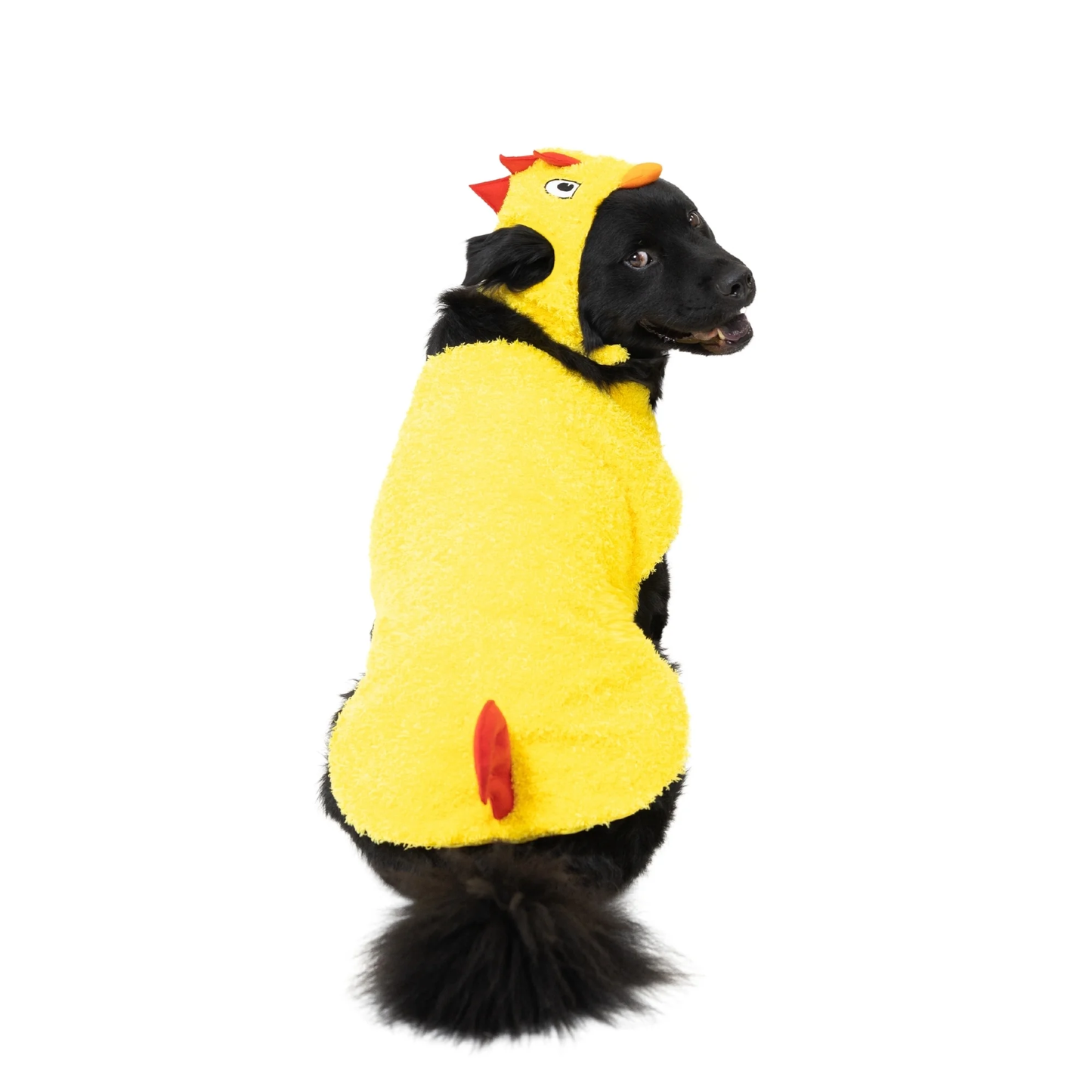 Halloween Chicken Costume for Dogs, Yellow, Large