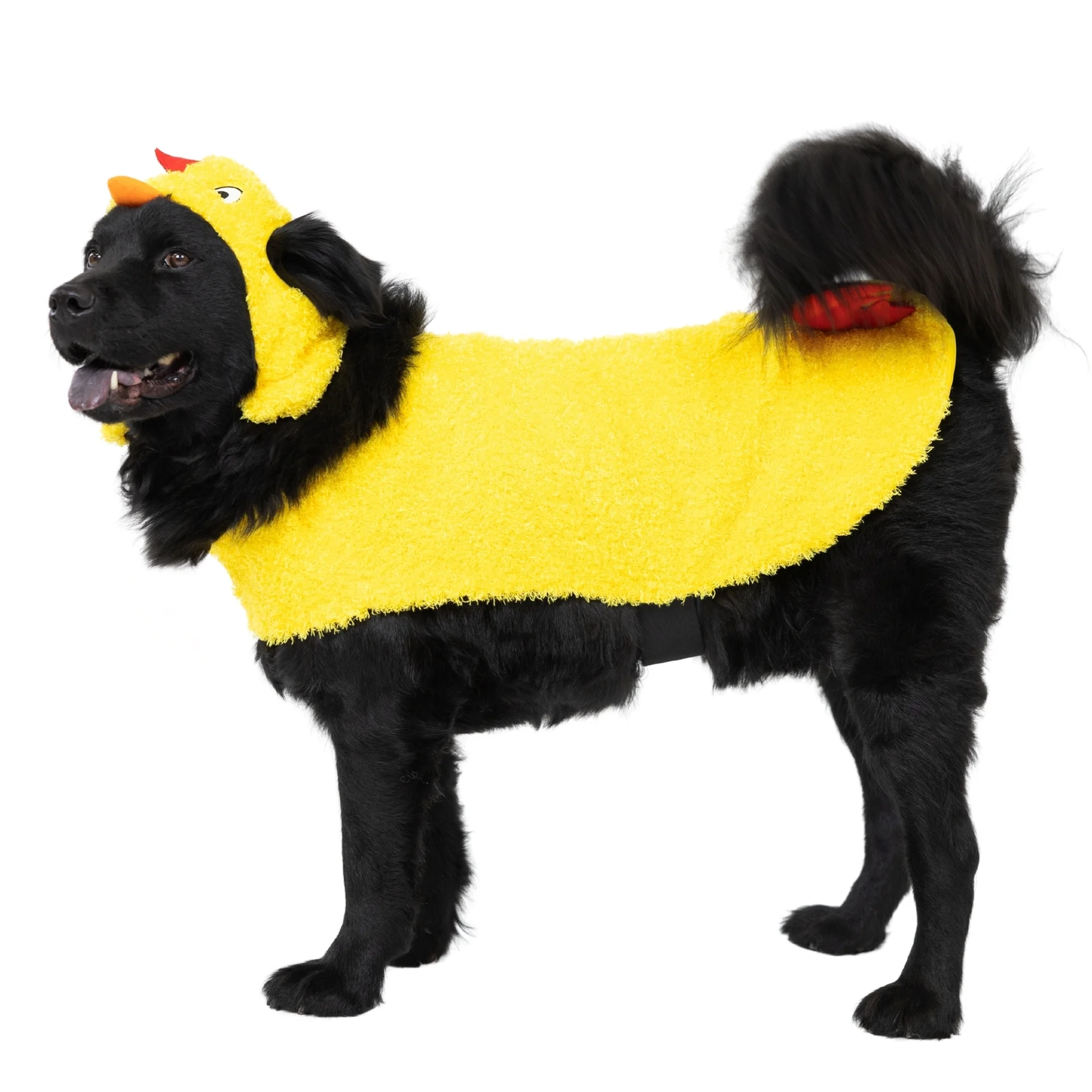 Halloween Chicken Costume for Dogs, Yellow, Large