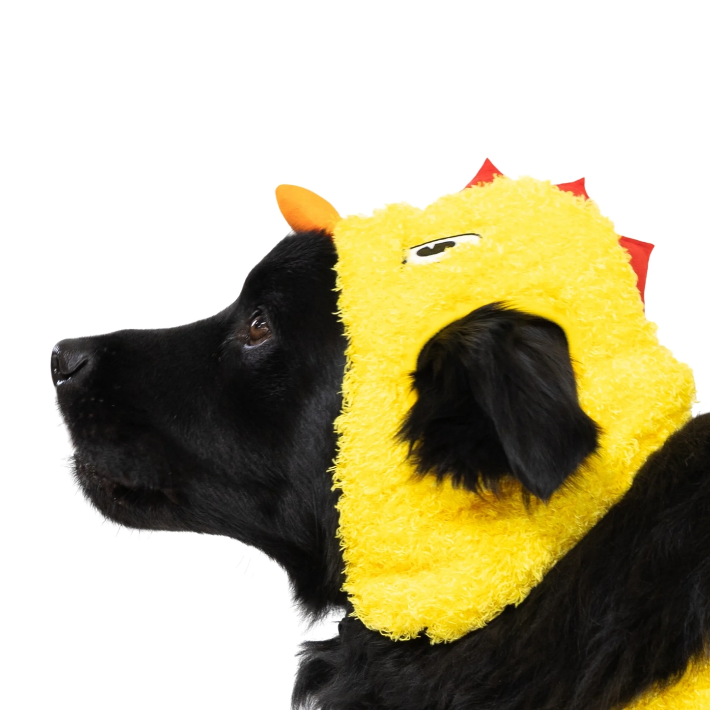 Halloween Chicken Costume for Dogs, Yellow, Large