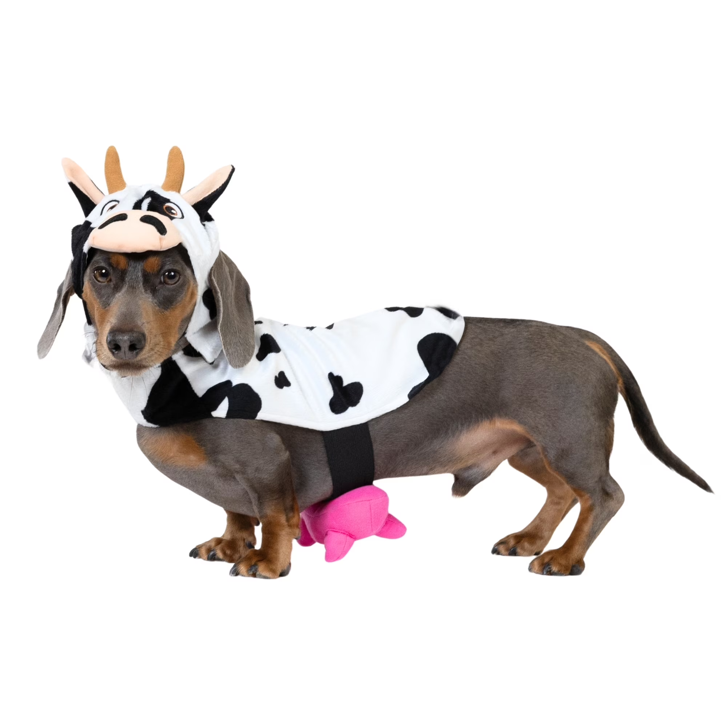 Halloween Cow Costume for Dogs & Cats, Black and White, Extra Small