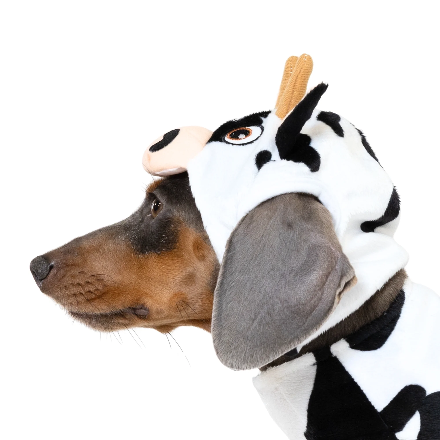 Halloween Cow Costume for Dogs & Cats, Black and White, Extra Small