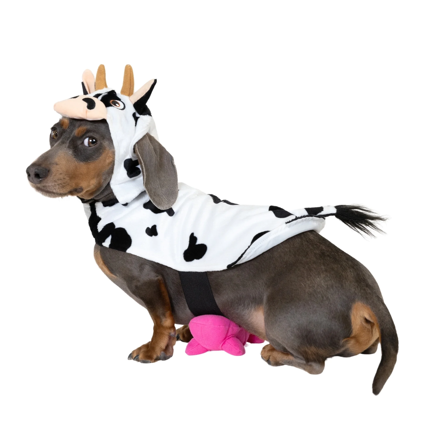 Halloween Cow Costume for Dogs & Cats, Black and White, Extra Small