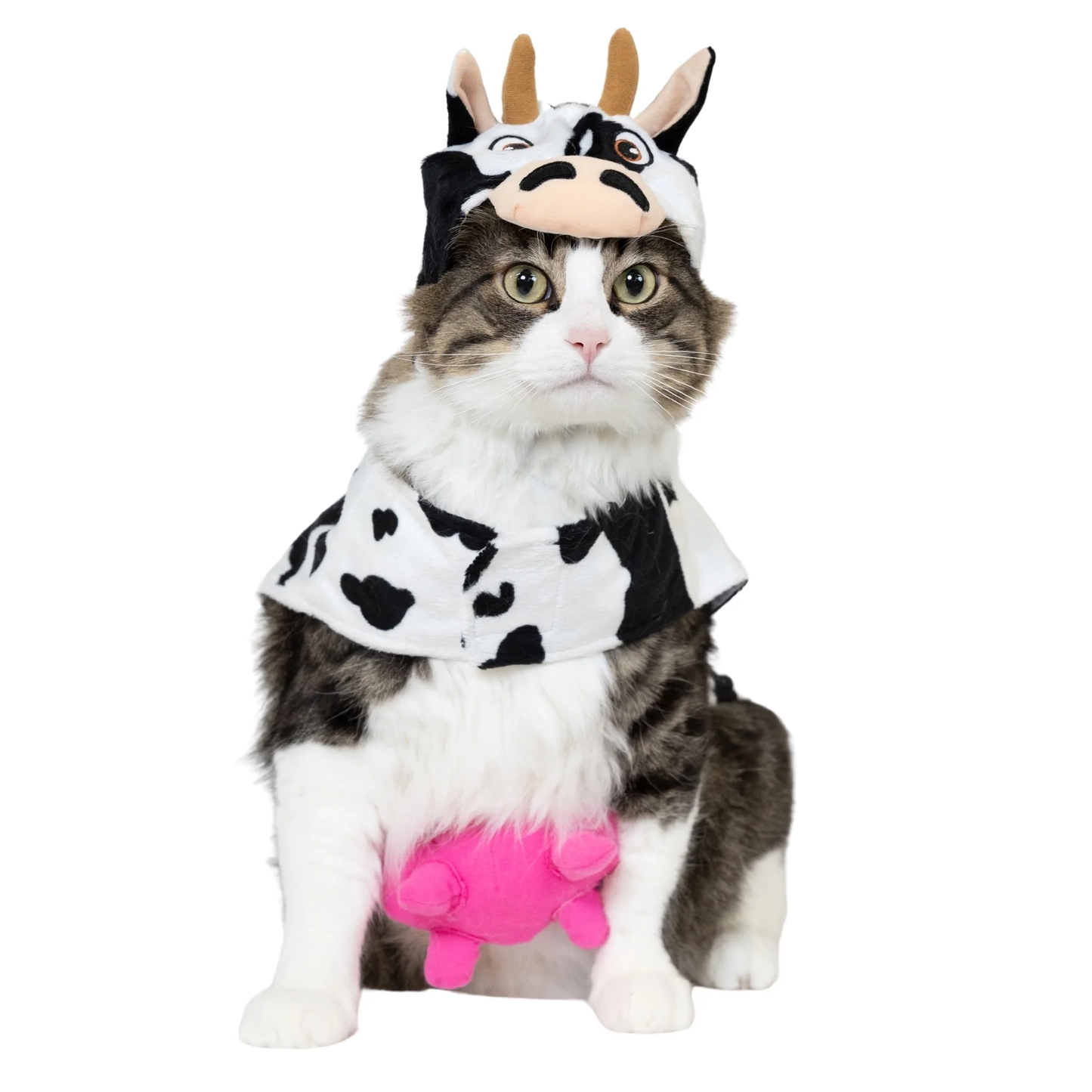 Halloween Cow Costume for Dogs & Cats, Black and White, Extra Small