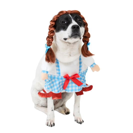 Halloween Gingham Girl Costume for Dogs, Blue and White, Medium