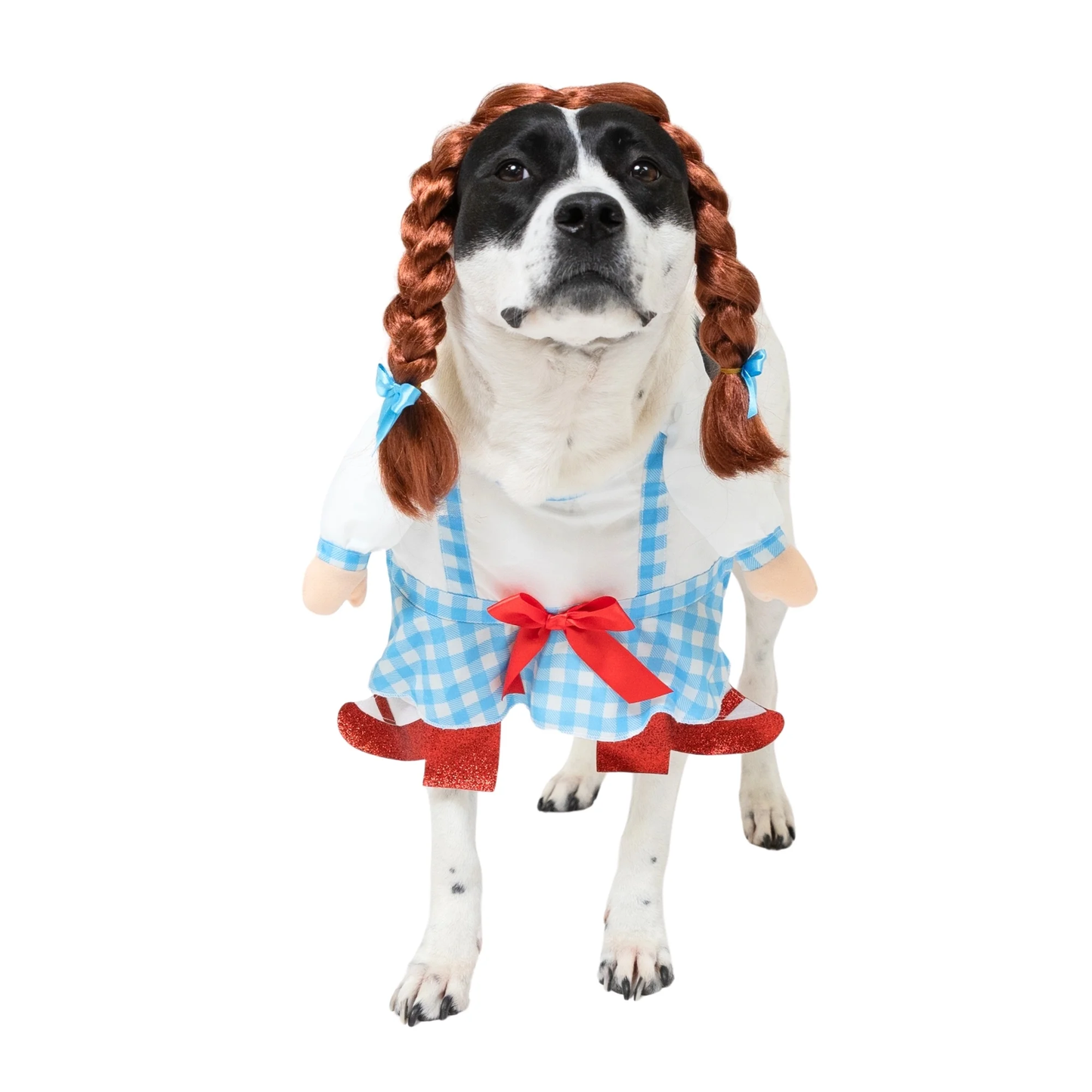Halloween Gingham Girl Costume for Dogs, Blue and White, Medium