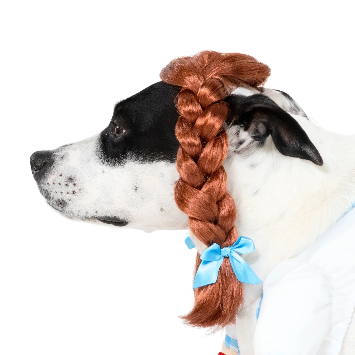 Halloween Gingham Girl Costume for Dogs, Blue and White, Medium