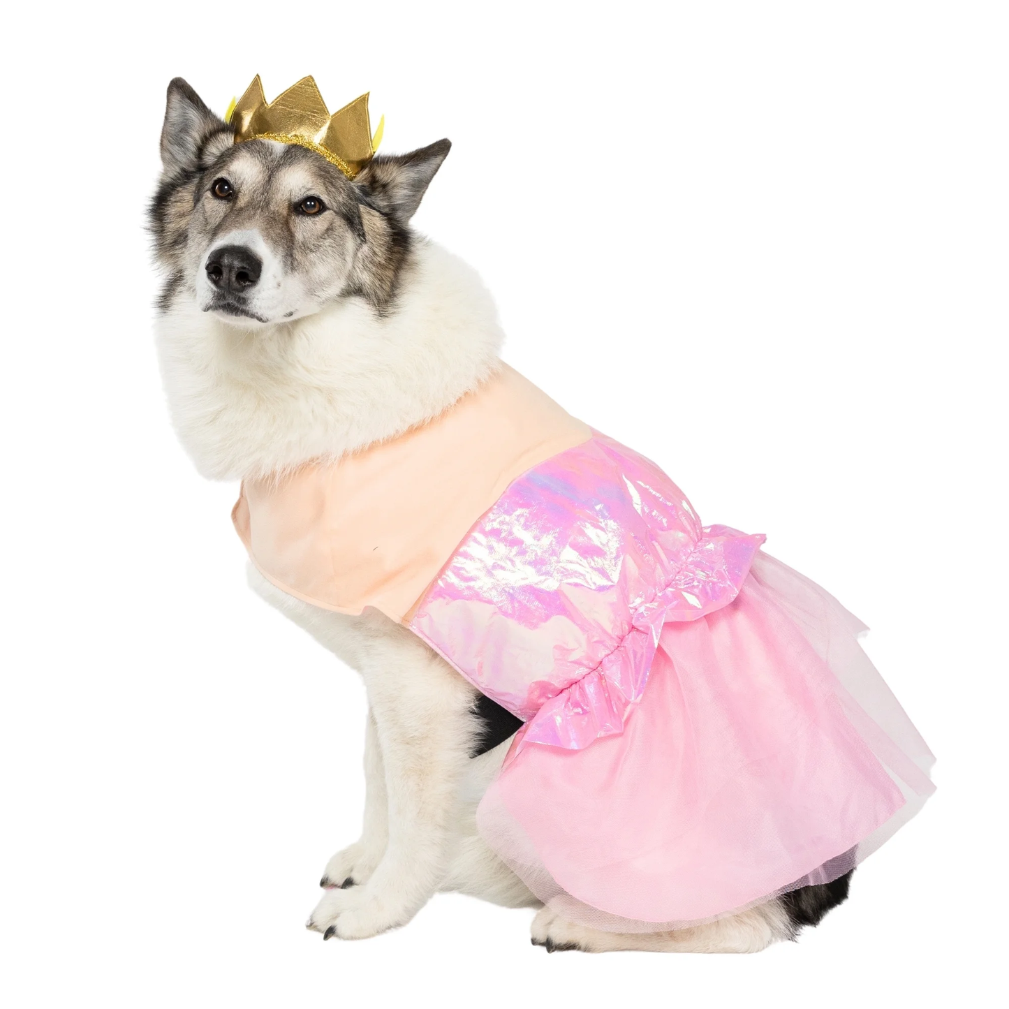 Halloween Good Witch Costume for Dogs, Pink and Gold, Extra Large
