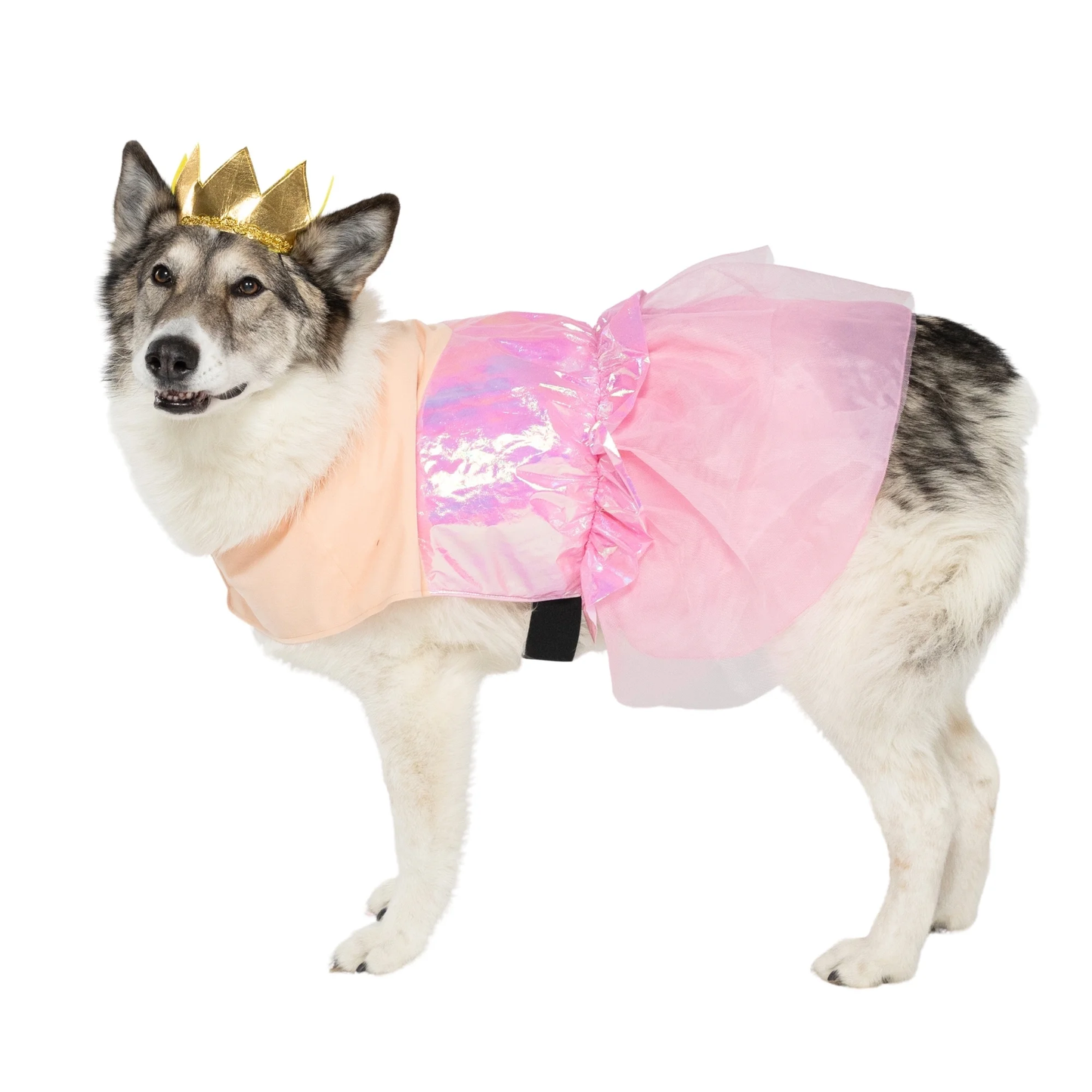 Halloween Good Witch Costume for Dogs, Pink and Gold, Extra Large