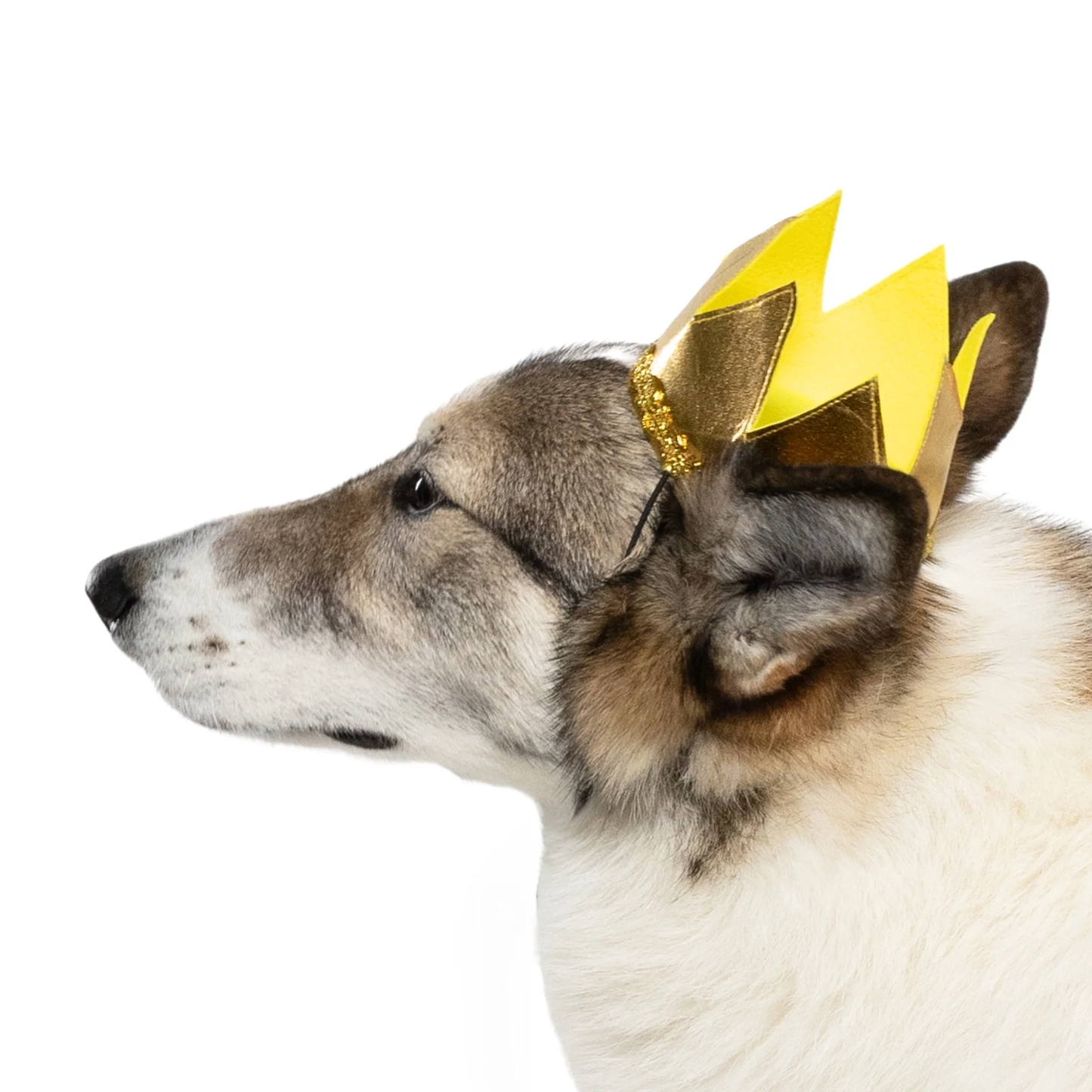 Halloween Good Witch Costume for Dogs, Pink and Gold, Extra Large