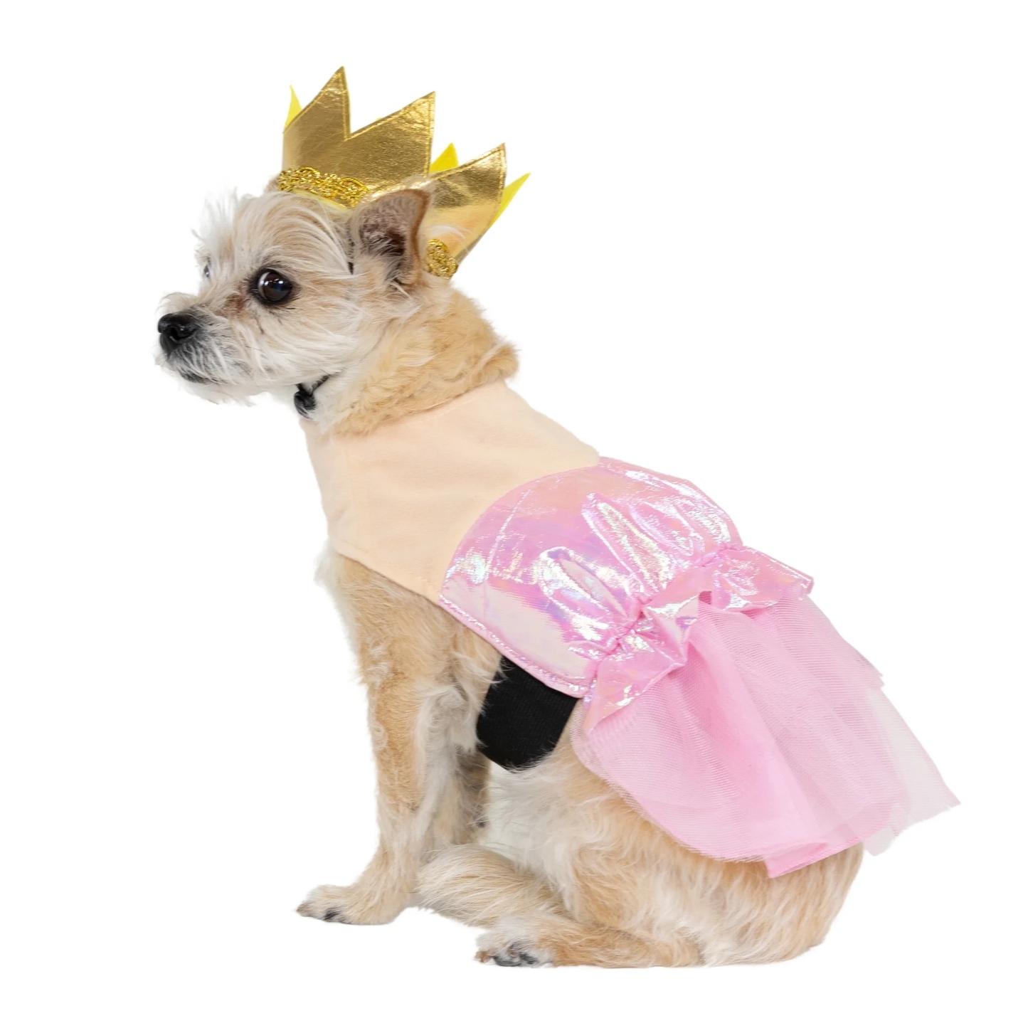 Halloween Good Witch Costume for Dogs and Cats, Pink and Gold, Extra Small
