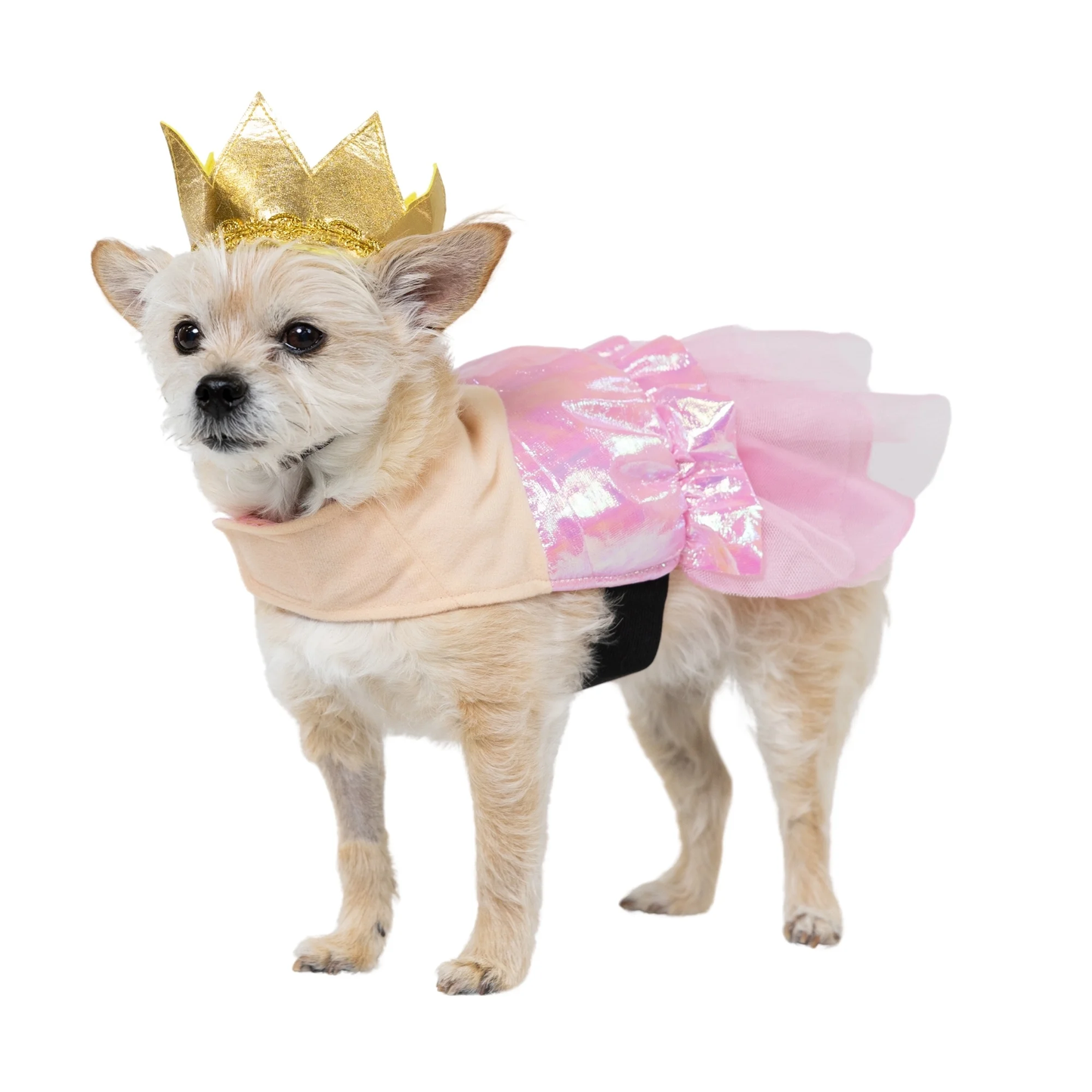 Halloween Good Witch Costume for Dogs and Cats, Pink and Gold, Extra Small