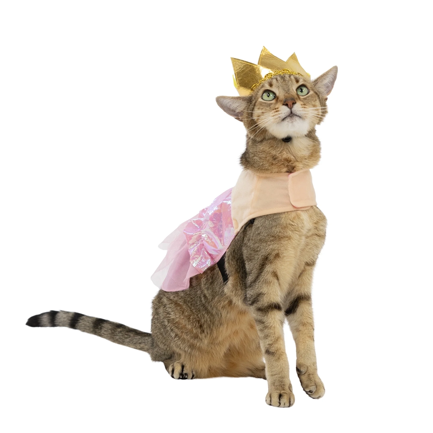Halloween Good Witch Costume for Dogs and Cats, Pink and Gold, Extra Small