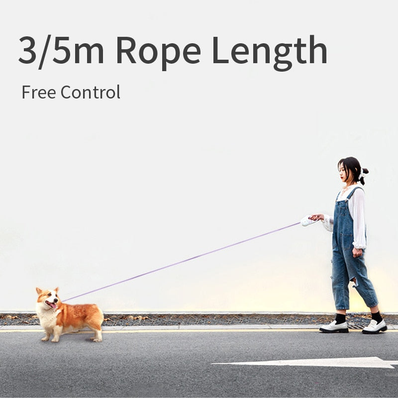 Automatic Retractable Lighting Dog Leash For Night Walks