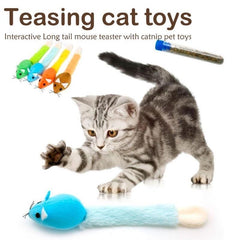Collection image for: Pet supplies