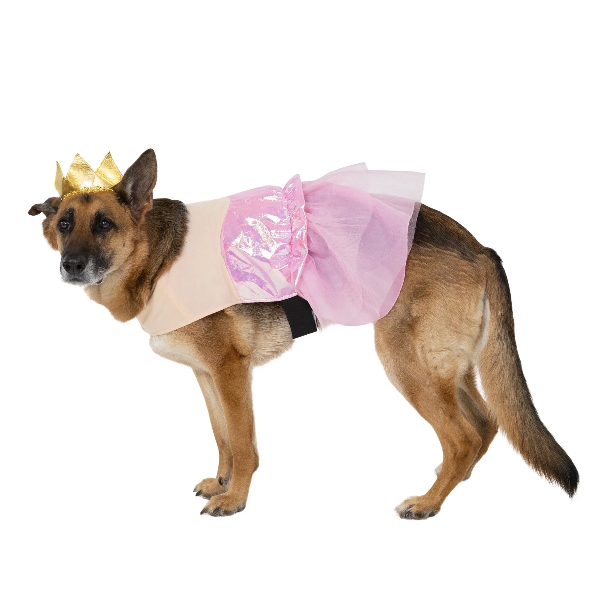 Halloween Good Witch Costume for Dogs, Pink and Gold, Large
