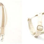 Set / XS