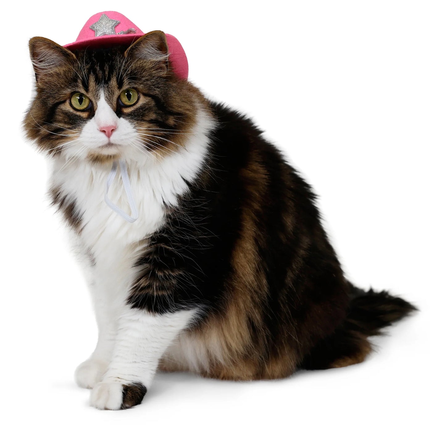 Halloween Cowboy Hat Costume for Dogs & Cats, Pink, Extra Small/Small