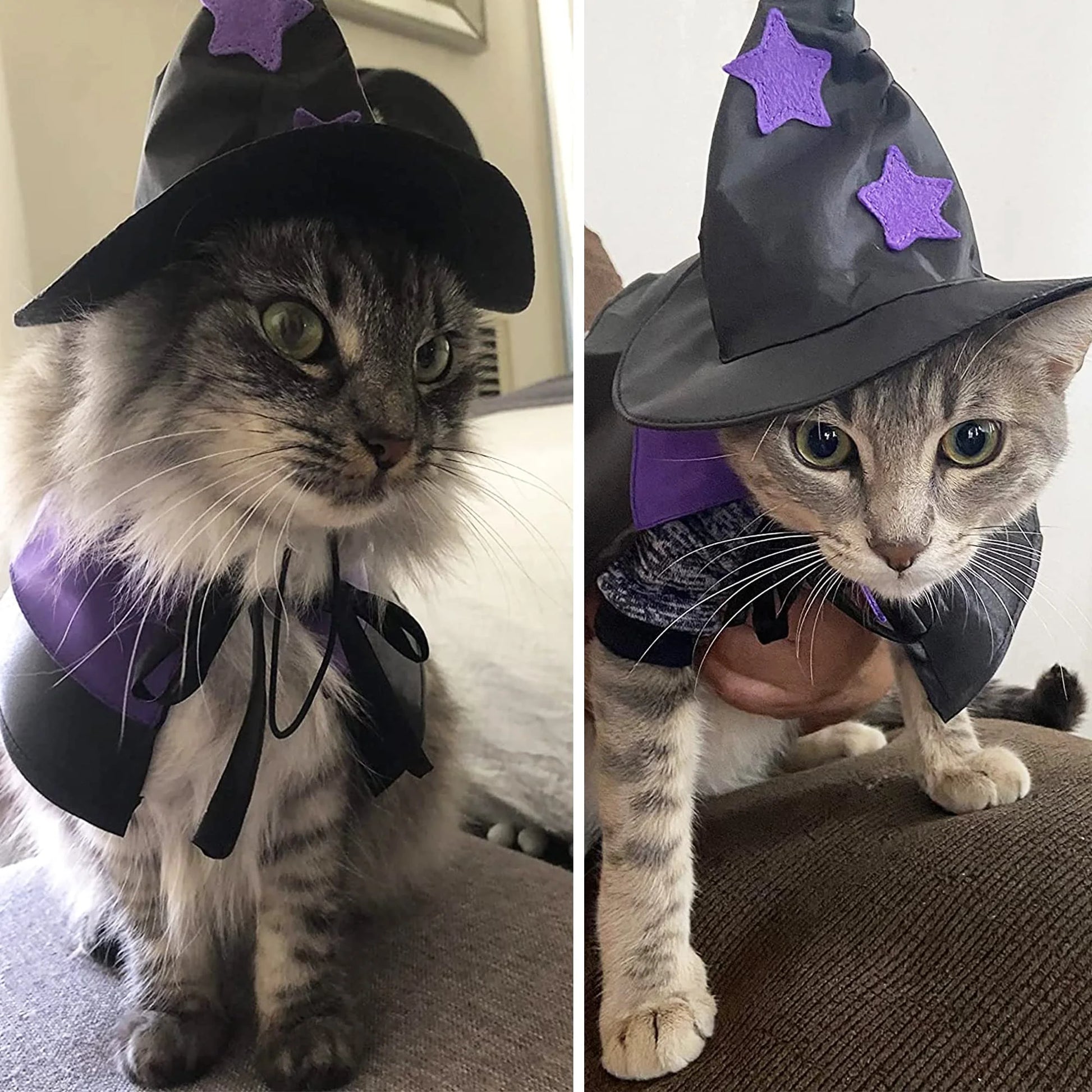 Halloween Pet Costumes, Cat Wizard Costume, Dog Witch Cloak & Hat, Purple Witch Cloak for Cats, Dogs, Kittens, Puppies, Rabbits, Perfect for Halloween, Parties, Cosplay, and Daily Wear