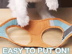 Adjustable Cat Harness With Leash Escapeproof For Cats