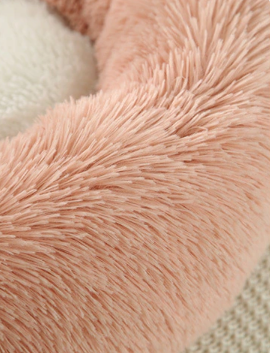 Close-up of a fluffy pink surface with a soft texture