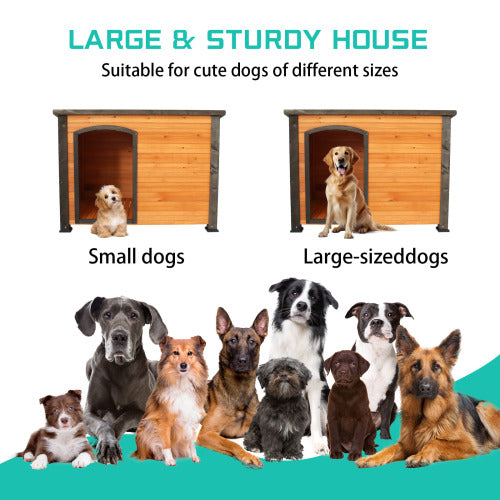 Dog House Outdoor and indoor wooden kennel