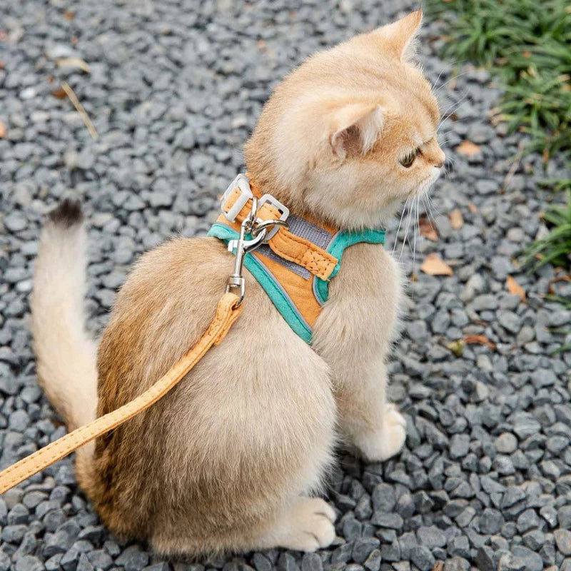 Adjustable Cat Harness With Leash Escapeproof For Cats