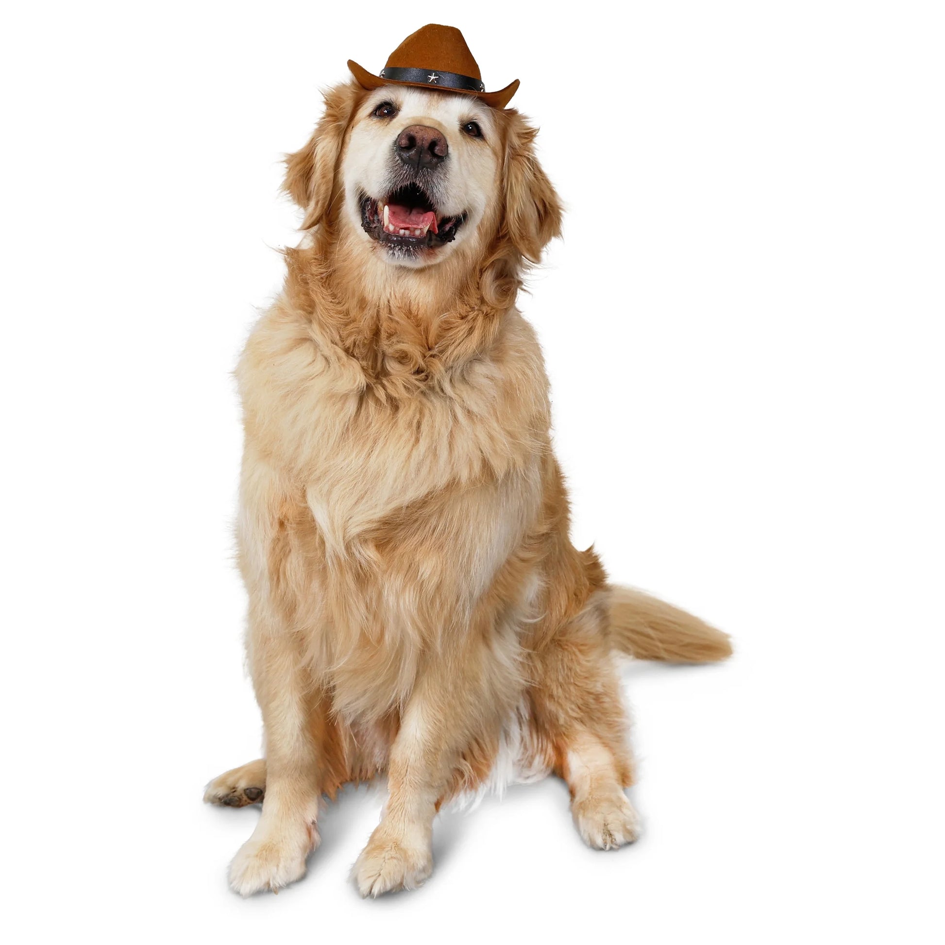 Halloween Cowboy Hat Costume for Dogs, Brown, Medium/Large