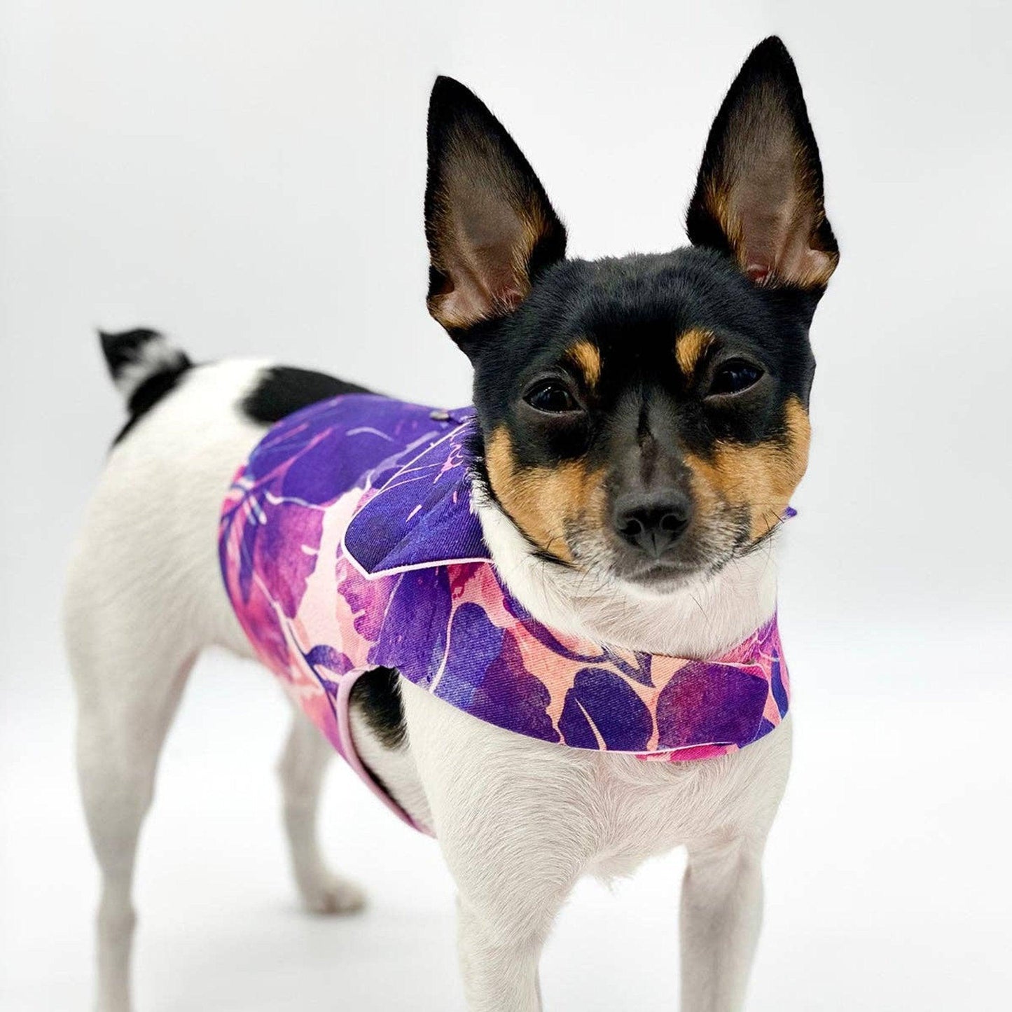 DCNY Purple Hibiscus Adjustable Dog Harness Vest For Dogs