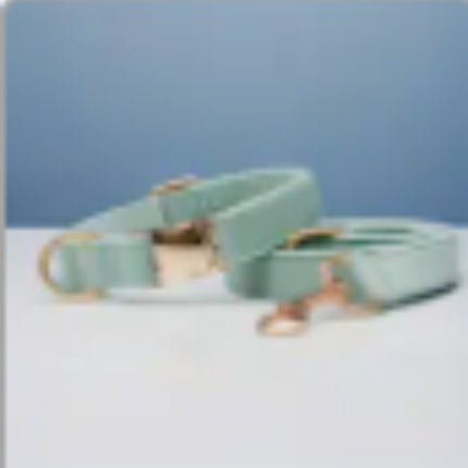 Multiple Colour Velvet Personalise Dog Collar Leash Set With Bow
